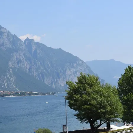 Narciso - Facing Bellagio Wild Flowers *