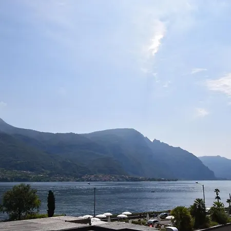 Narciso - Facing Bellagio Wild Flowers * Oliveto Lario